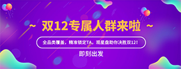 [百度]双12专属人群来啦，全品类覆盖，精准锁定TA，助你决胜双12！